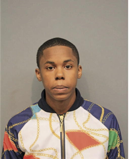 LAWRENCE C BRIGGS, Cook County, Illinois