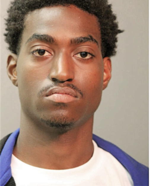 ANDREW C DAVIS, Cook County, Illinois