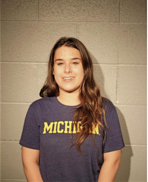 ELYSE B DVORKIN, Cook County, Illinois