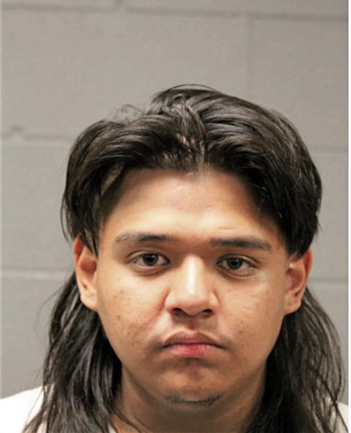 ISRAEL FLORES, Cook County, Illinois
