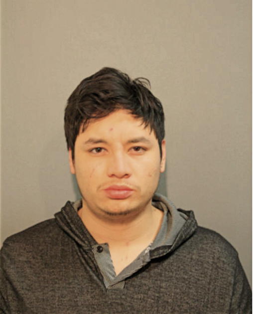 CHRISTHIAN A HERNANDEZ, Cook County, Illinois