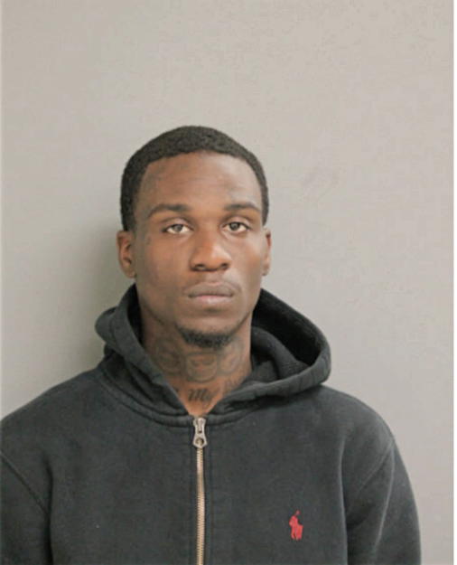 JOSHUA S HUNT, Cook County, Illinois