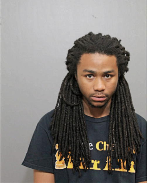 DEVIN T JACKSON, Cook County, Illinois