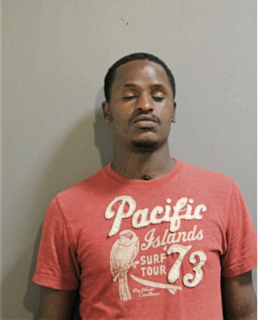 CALVIN T JOHNSON, Cook County, Illinois