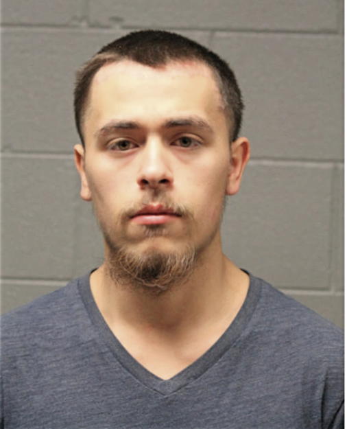 DANIEL G LUGO, Cook County, Illinois