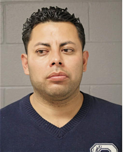 FERNANDO J MONROY, Cook County, Illinois