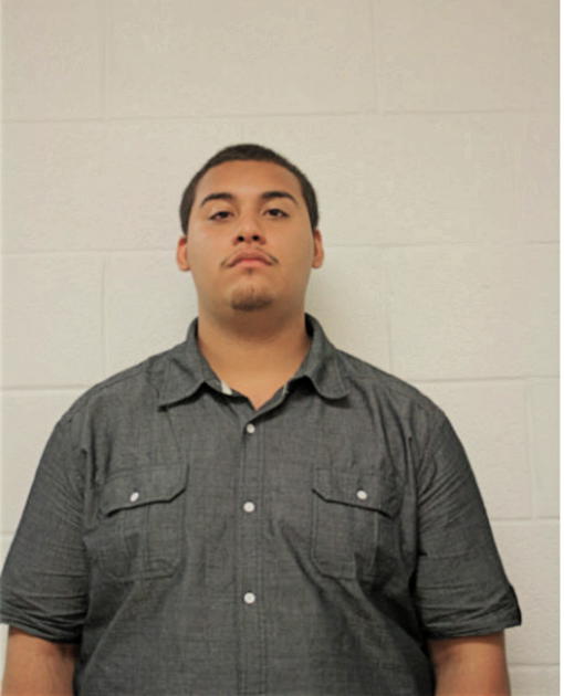 NELSON ORTEGA, Cook County, Illinois
