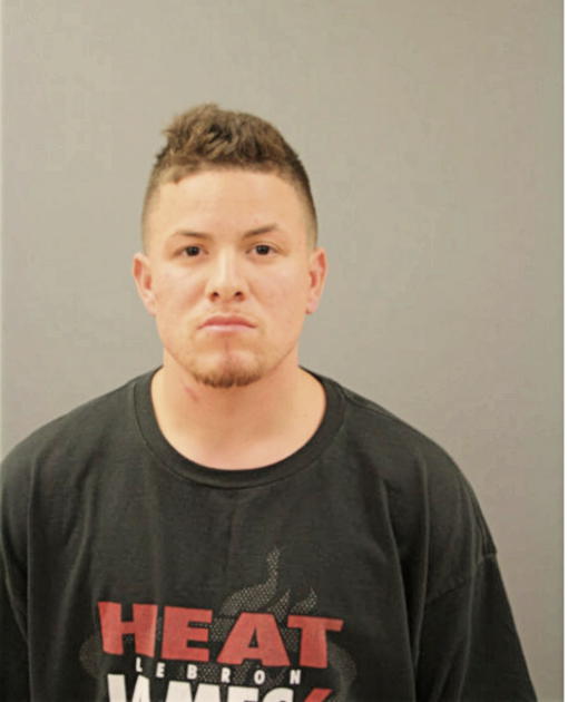 HENRY D TEBAR, Cook County, Illinois