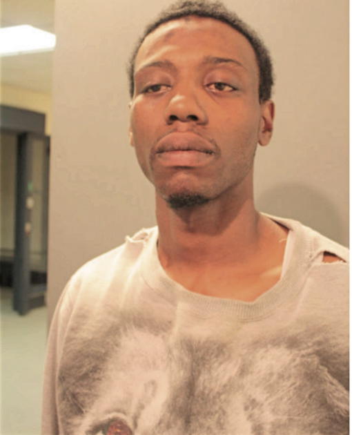 FREDRICK J VINSON, Cook County, Illinois