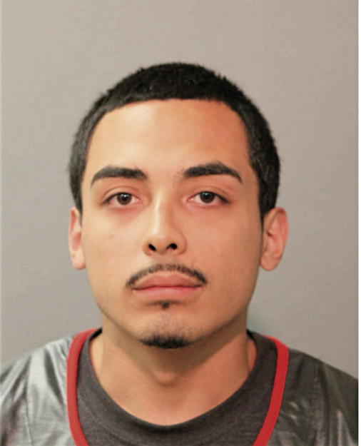 DAMEON APONTE, Cook County, Illinois