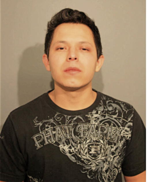 ROBERTO ARTEAGA-LANDAVERDE, Cook County, Illinois