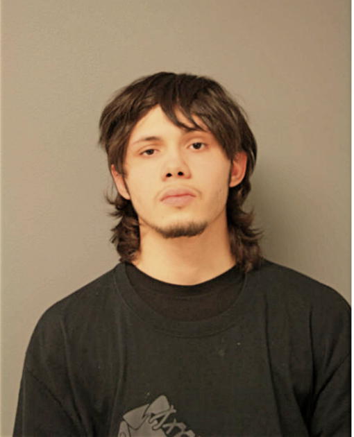 ERIK CABRALES, Cook County, Illinois