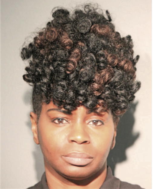 LISA D CROCKETT, Cook County, Illinois