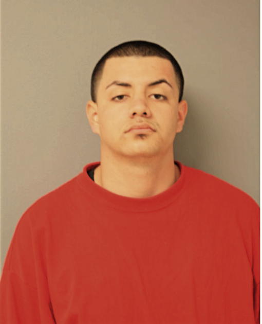 ALEX FLORES, Cook County, Illinois