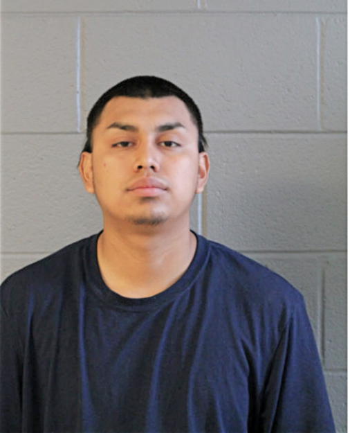 ARMANDO FLORES, Cook County, Illinois