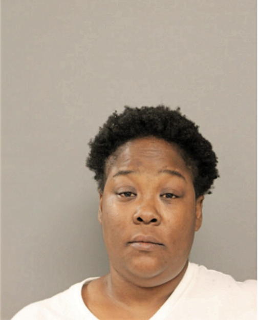 LANIQUE S FORD, Cook County, Illinois