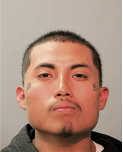 DAVID GONZALEZ, Cook County, Illinois
