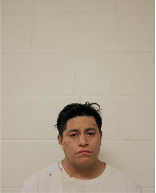 JOSE MANUEL GUAMAN, Cook County, Illinois