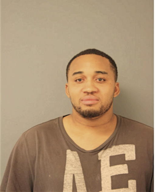 BRANDEN T HILDERBRAND, Cook County, Illinois