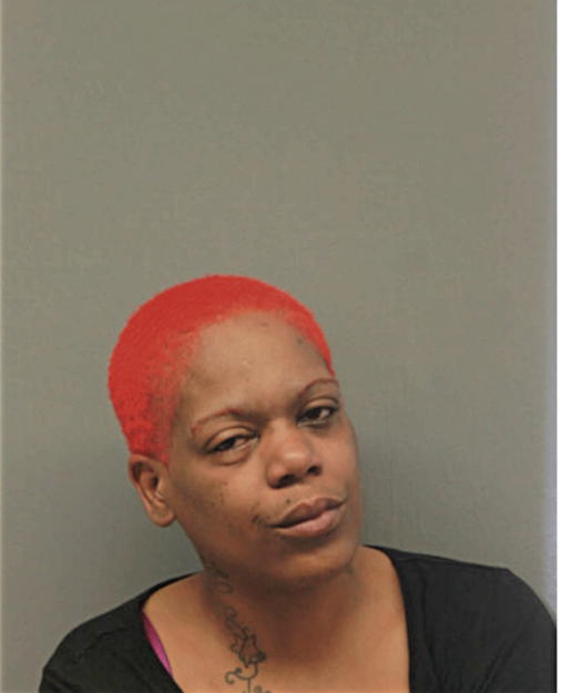ROCHELLE E HOLLAND, Cook County, Illinois