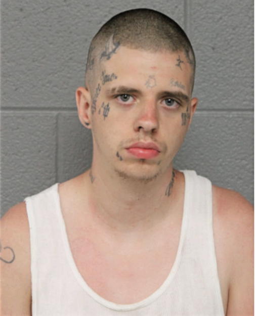 BRANDON D HOYNES, Cook County, Illinois
