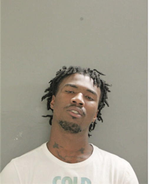 RODRICK L HUDGINS, Cook County, Illinois