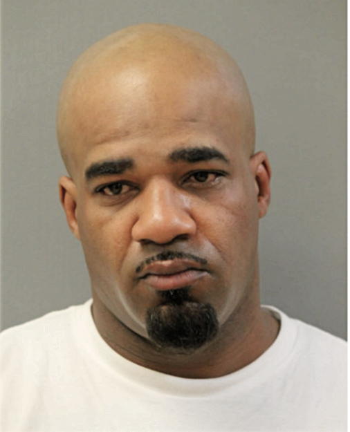 DAVID A JOHNSON, Cook County, Illinois