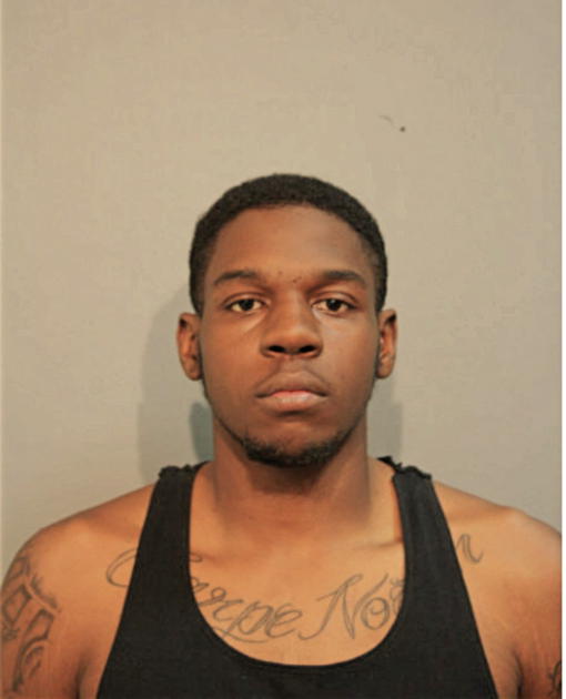 DREW L MARTIN, Cook County, Illinois
