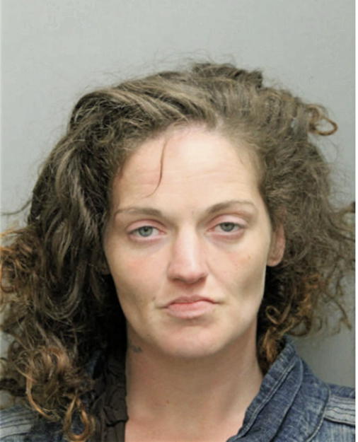 MELINDA S MCMICHAEL, Cook County, Illinois