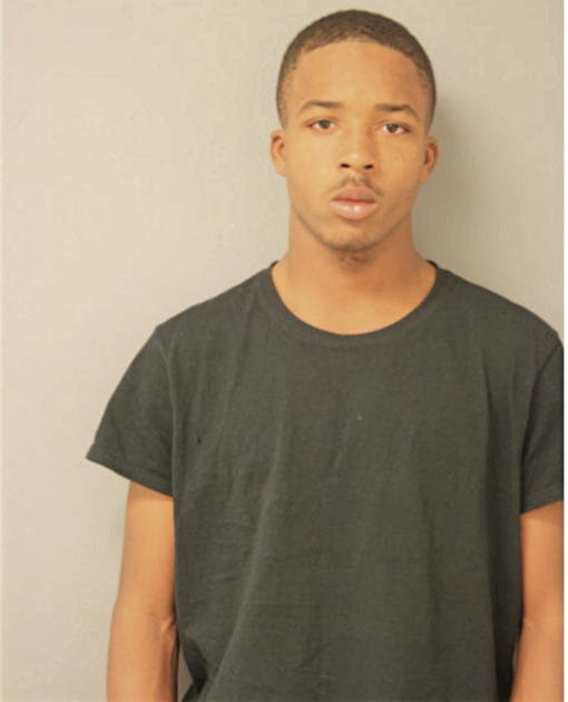 TERRELL MITCHEM, Cook County, Illinois