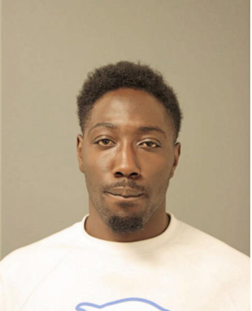DEANDRE E NELSON, Cook County, Illinois