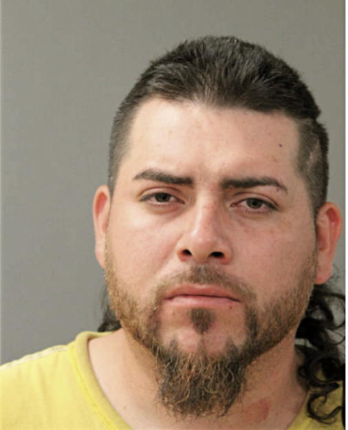 LUIS A NUNEZ, Cook County, Illinois