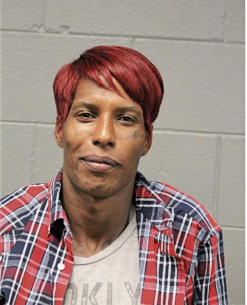ANDRE P PITTMAN, Cook County, Illinois
