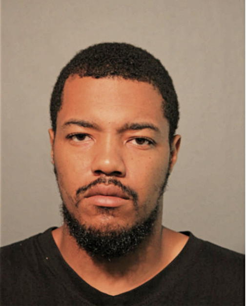TRAVIS T PRUITT, Cook County, Illinois