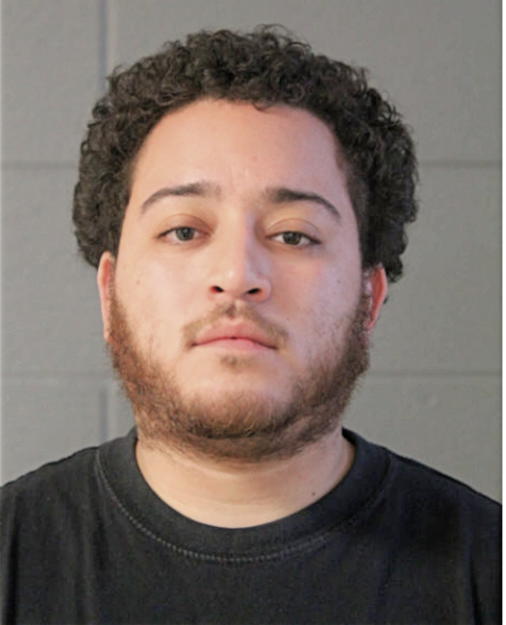 LUIS H RAMOS, Cook County, Illinois