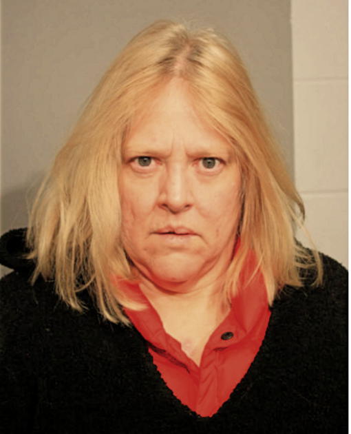 ROBYN A VAN PARYS, Cook County, Illinois