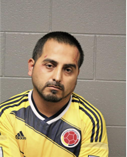 JOSE E VENEGAS, Cook County, Illinois