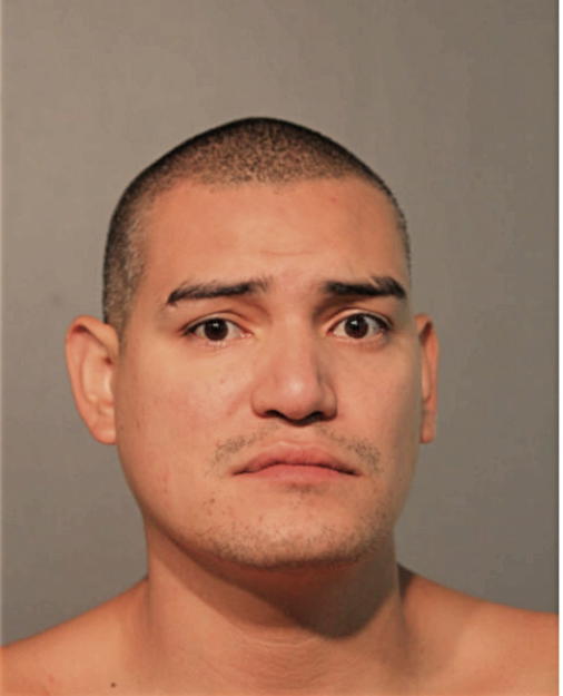 EDGAR D AMAYA, Cook County, Illinois