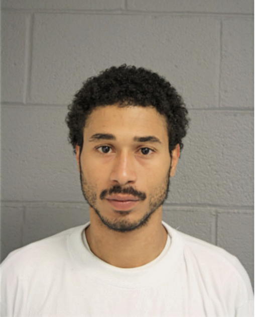 TYRONE S ANDERSON, Cook County, Illinois