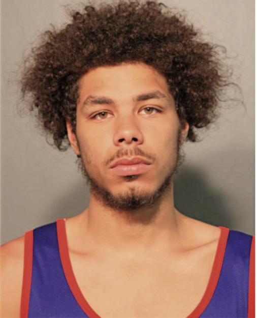 ANGEL R AYALA, Cook County, Illinois