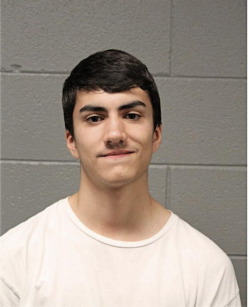 NICHOLAS W BIELUNSKI, Cook County, Illinois