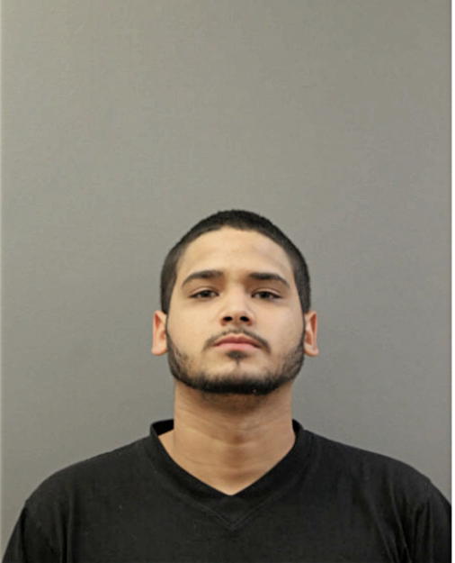 RUBEN L CARRION, Cook County, Illinois