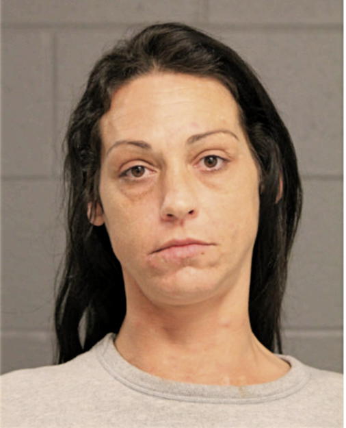 NICOLE E CARVER, Cook County, Illinois