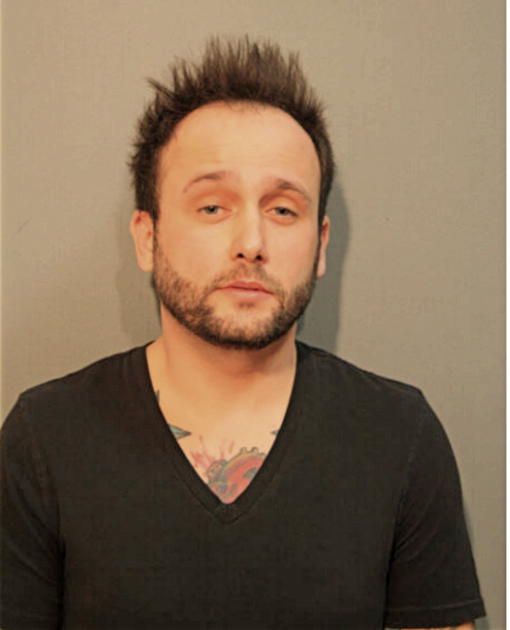 PAUL T FREYMAN, Cook County, Illinois