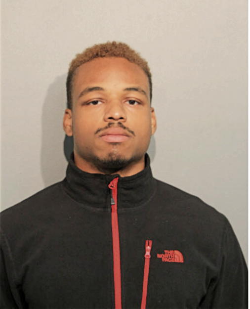 ERIK L GALLOWAY, Cook County, Illinois