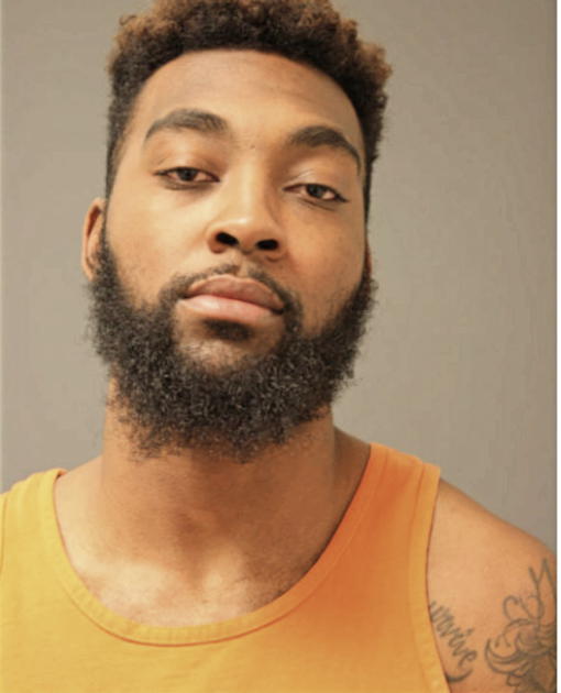 TRAVON B GEORGE, Cook County, Illinois