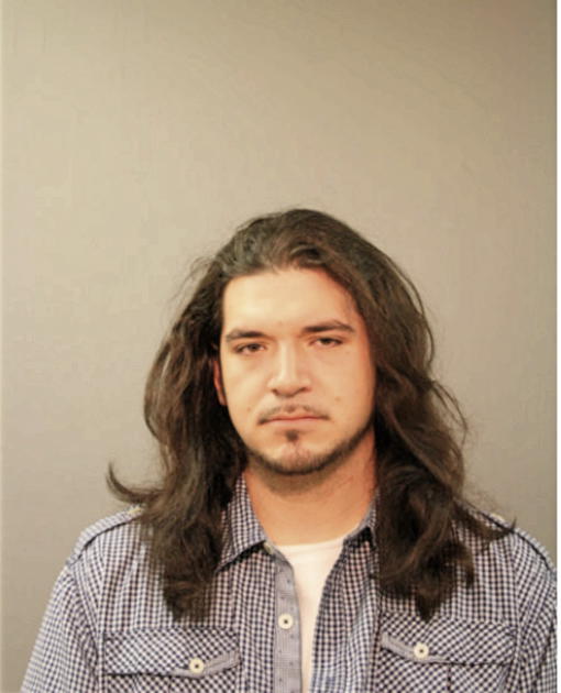 ADAM L GONZALEZ, Cook County, Illinois