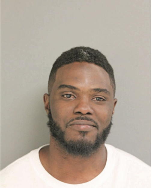 TERRANCE J HOGANS, Cook County, Illinois