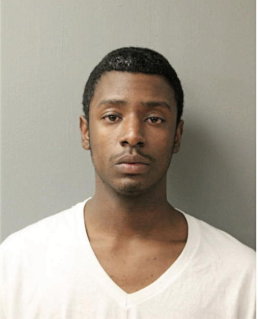 CHRISTIAN HOLT, Cook County, Illinois