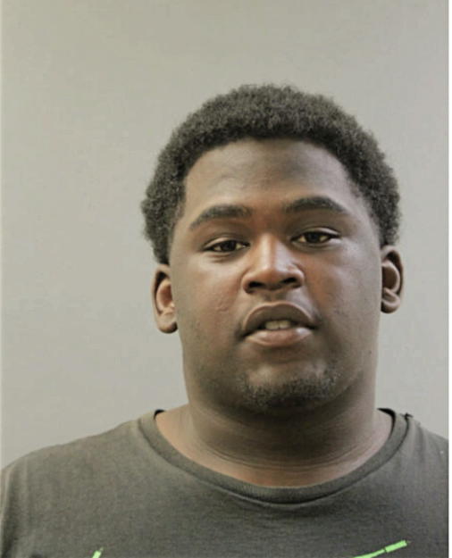 DARRELL A JOHNSON, Cook County, Illinois